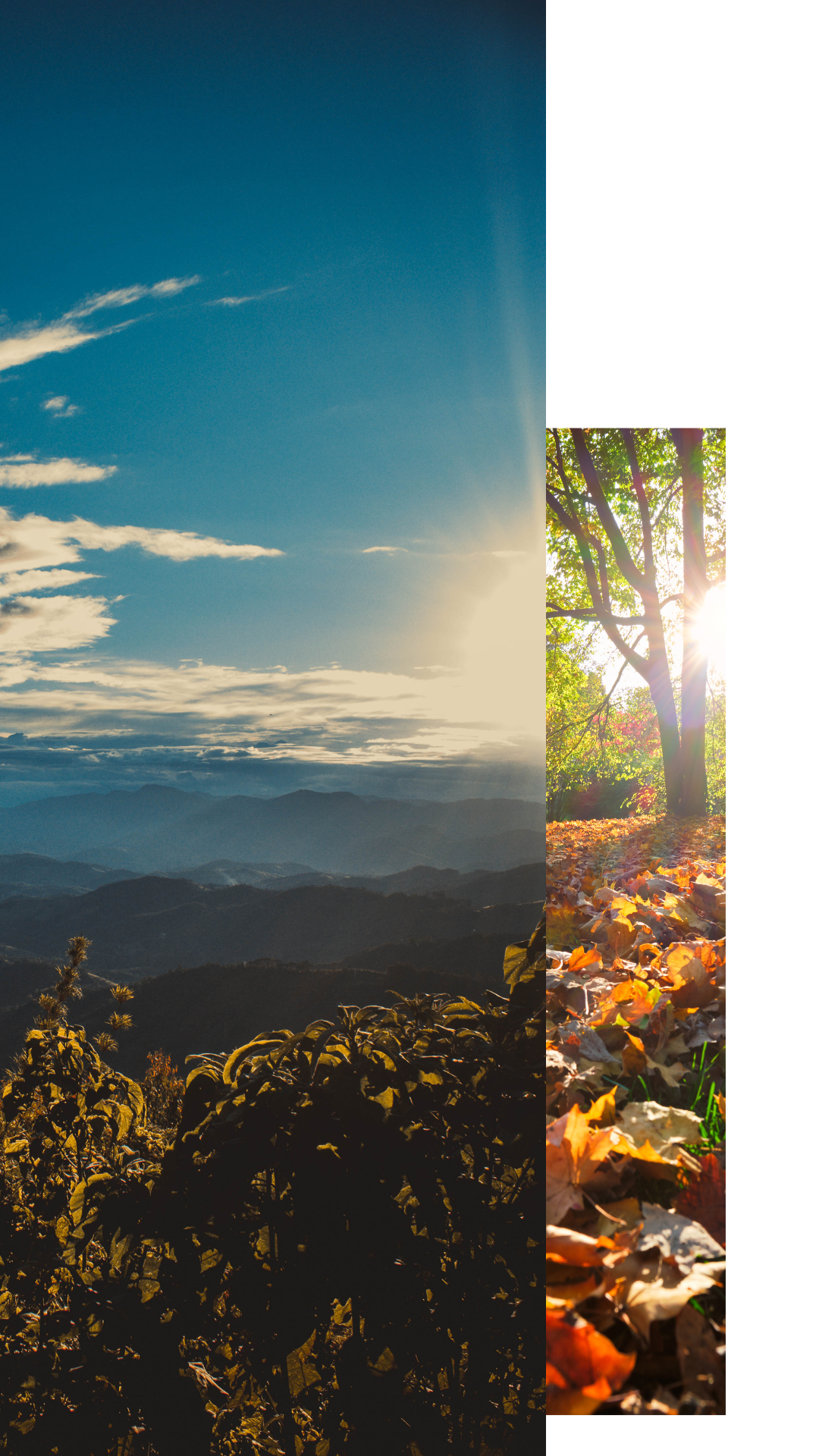 Hocking Hill Seasons Experience Hocking Hills, outdoor adventures